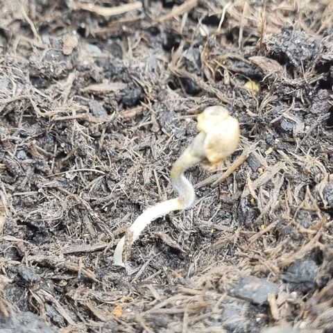 Patricia's Bitch Ass growlog timeline photo