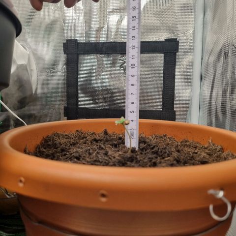Patricia's Bitch Ass growlog timeline photo