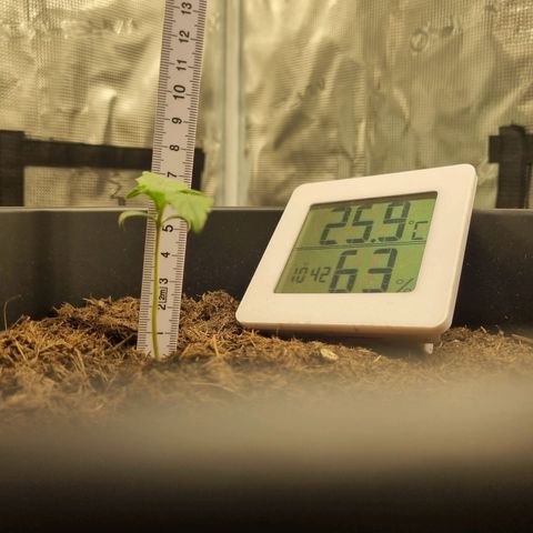 Melissa Bomb growlog timeline photo