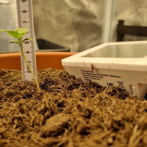 Patricia's Bitch Ass growlog timeline photo