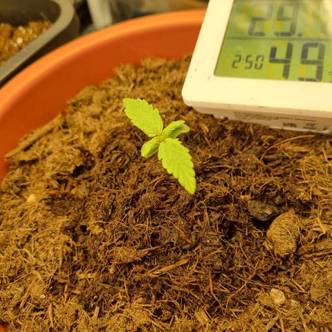 Patricia's Bitch Ass growlog timeline photo