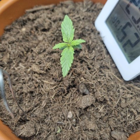 Patricia's Bitch Ass growlog timeline photo