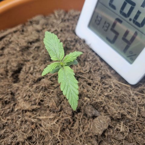 Patricia's Bitch Ass growlog timeline photo