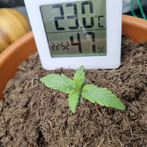 Patricia's Bitch Ass growlog timeline photo