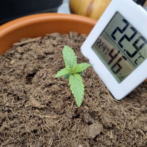 Patricia's Bitch Ass growlog timeline photo