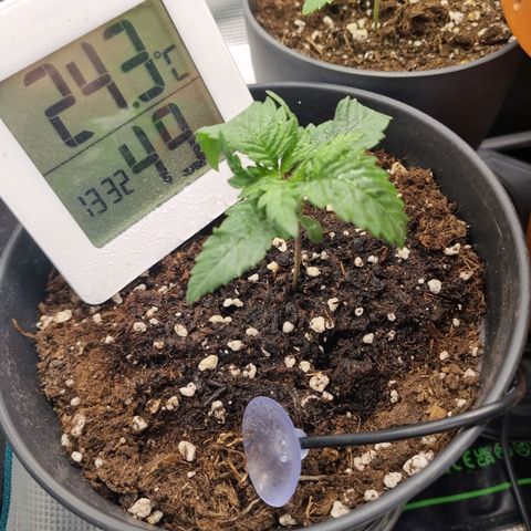 It's Brittney Biscotti Bitch growlog timeline photo