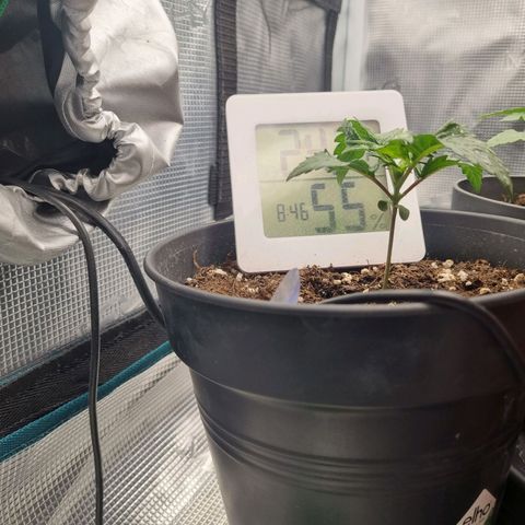 It's Brittney Biscotti Bitch growlog timeline photo