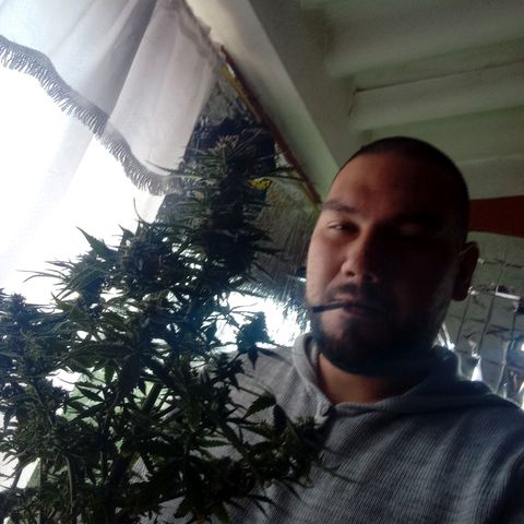 Quick One growlog timeline photo