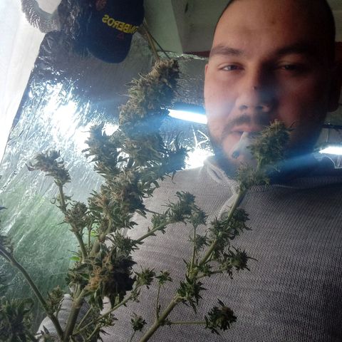 Quick One growlog timeline photo