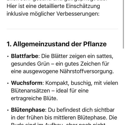 Punch Pie  growlog photo: Chat GPT Bewertung nach Bilderupload