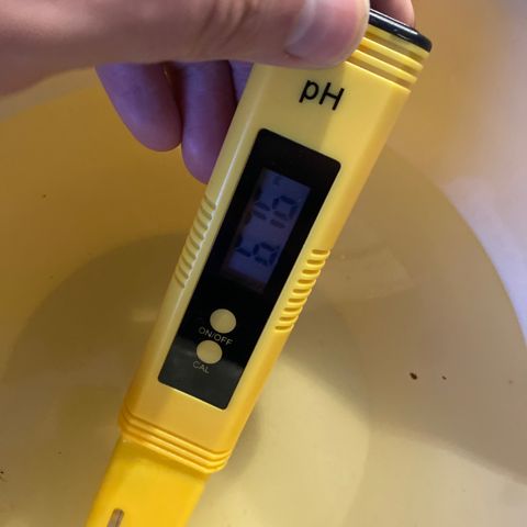 Super Kritikal growlog photo: Third runoff test on right pot