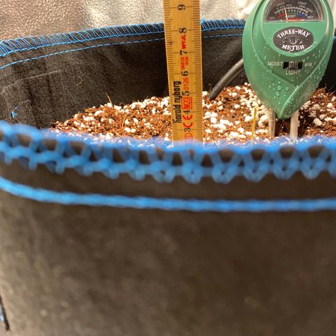 Super Kritikal growlog photo: Measurements 