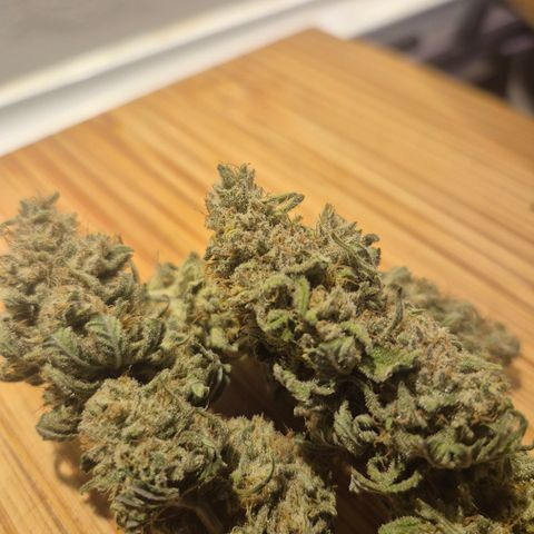 Amnesia Haze #5 growlog timeline photo