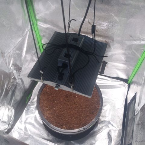 Northern Lights Auto growlog timeline photo
