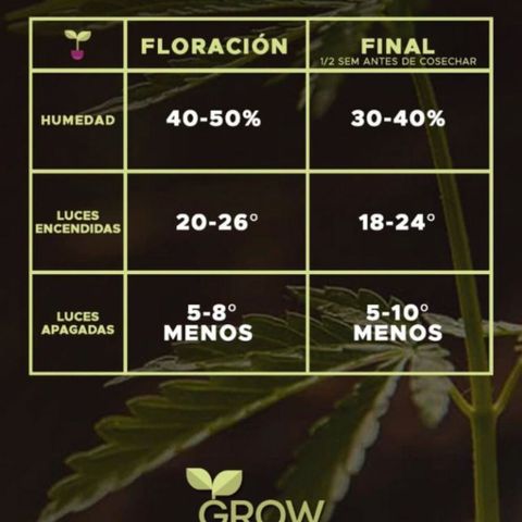 Hawaian snow growlog photo: Calendario POT