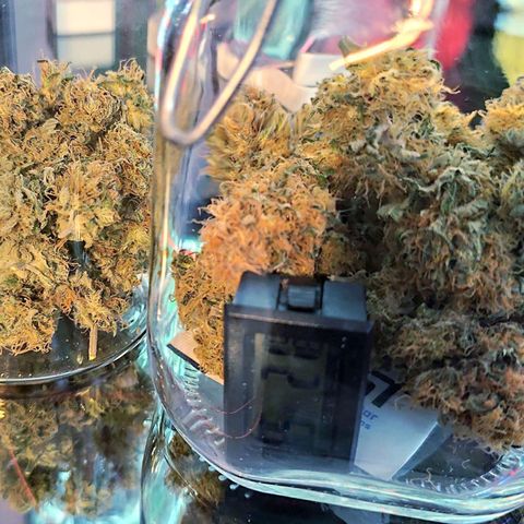 Critical growlog photo: 43,5g