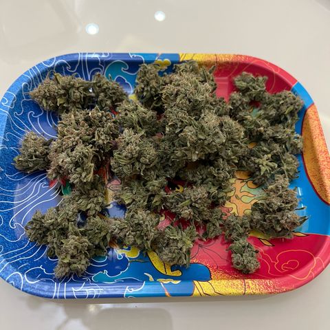 Original Auto Amnesia Haze growlog photo: 19g
