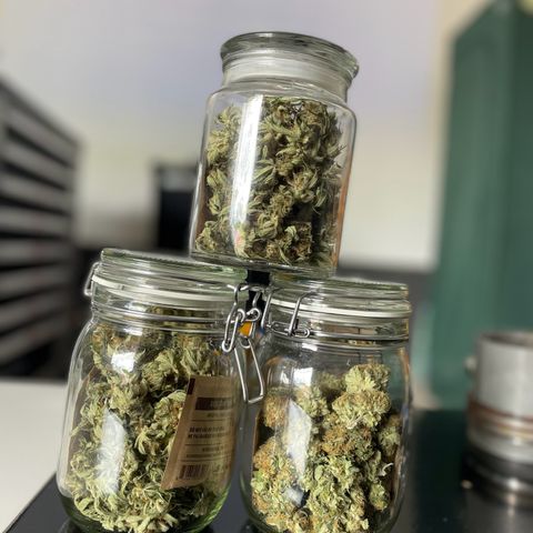 Gorilla Cookies Auto growlog timeline photo