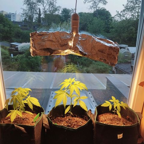 Elfriede growlog photo: Abluft optimiert