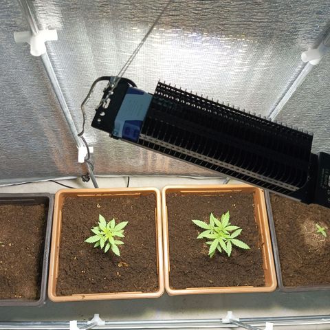 Auto M8 growlog timeline photo