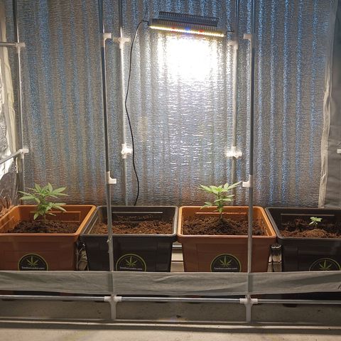 Auto M8 growlog timeline photo