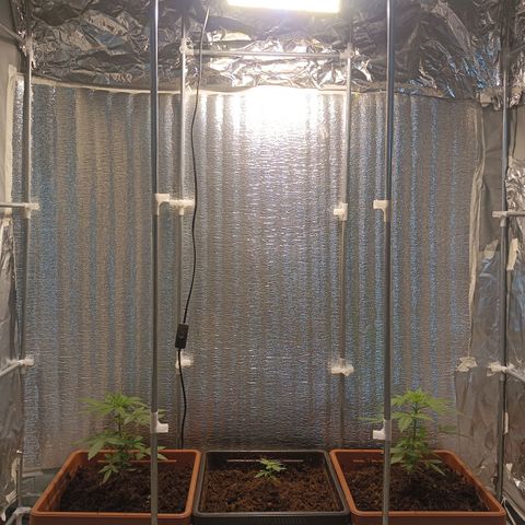 Auto M8 growlog timeline photo