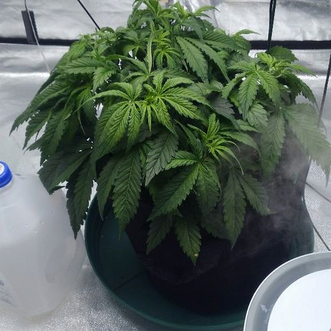 JH-5 growlog timeline photo