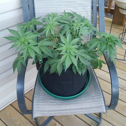 JH-6 growlog timeline photo