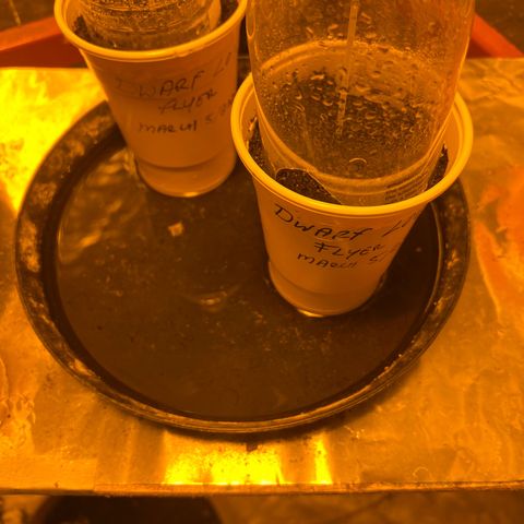 Dwarf Low Flyer growlog photo: Hopefully it’s wet enough 