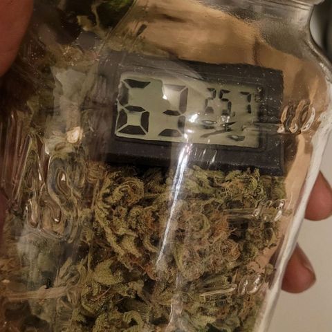 Pamela growlog photo: Hovering in the "cure zone" since early Sunday 