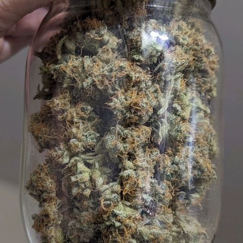 Banana growlog timeline photo