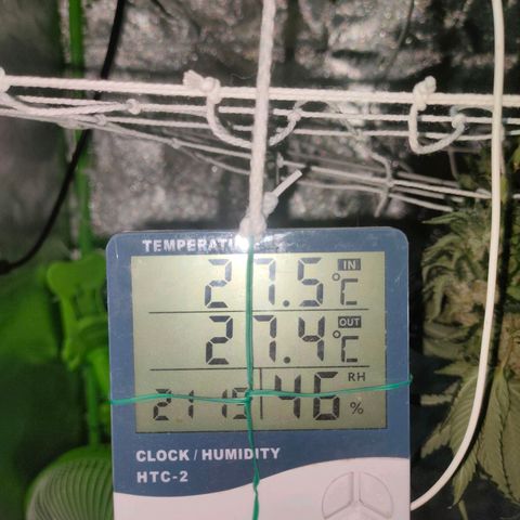ETHOS By OG LAB growlog timeline photo