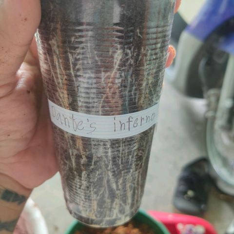 Dante's Inferno growlog photo: ย้ายกระถางกัญ →1แกล 
