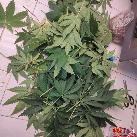 Dante's Inferno growlog timeline photo