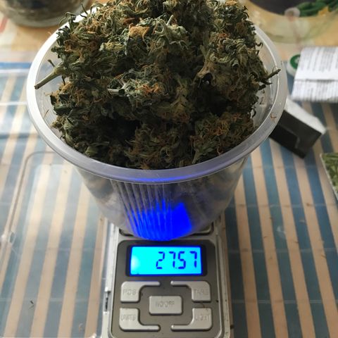 Ak 47 growlog timeline photo