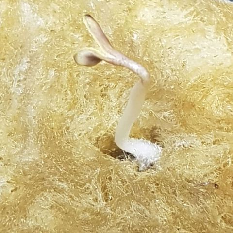 Mary Donnie  growlog timeline photo