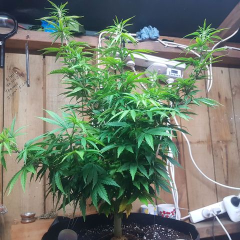 Mary Donnie  growlog timeline photo