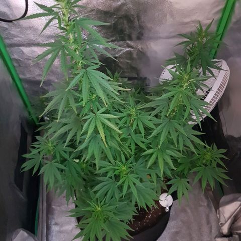 Mary Donnie  growlog timeline photo