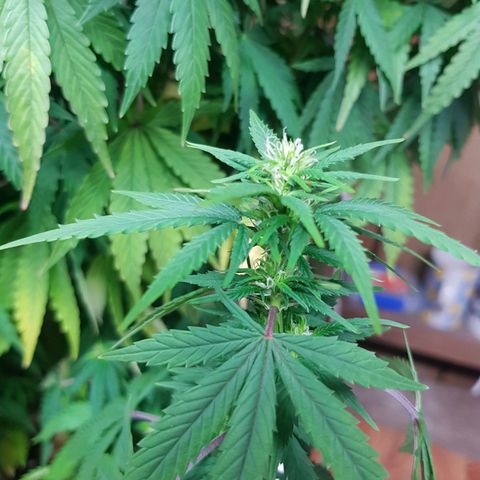 Mary Donnie  growlog timeline photo
