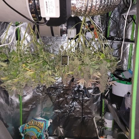 Bigs growlog timeline photo