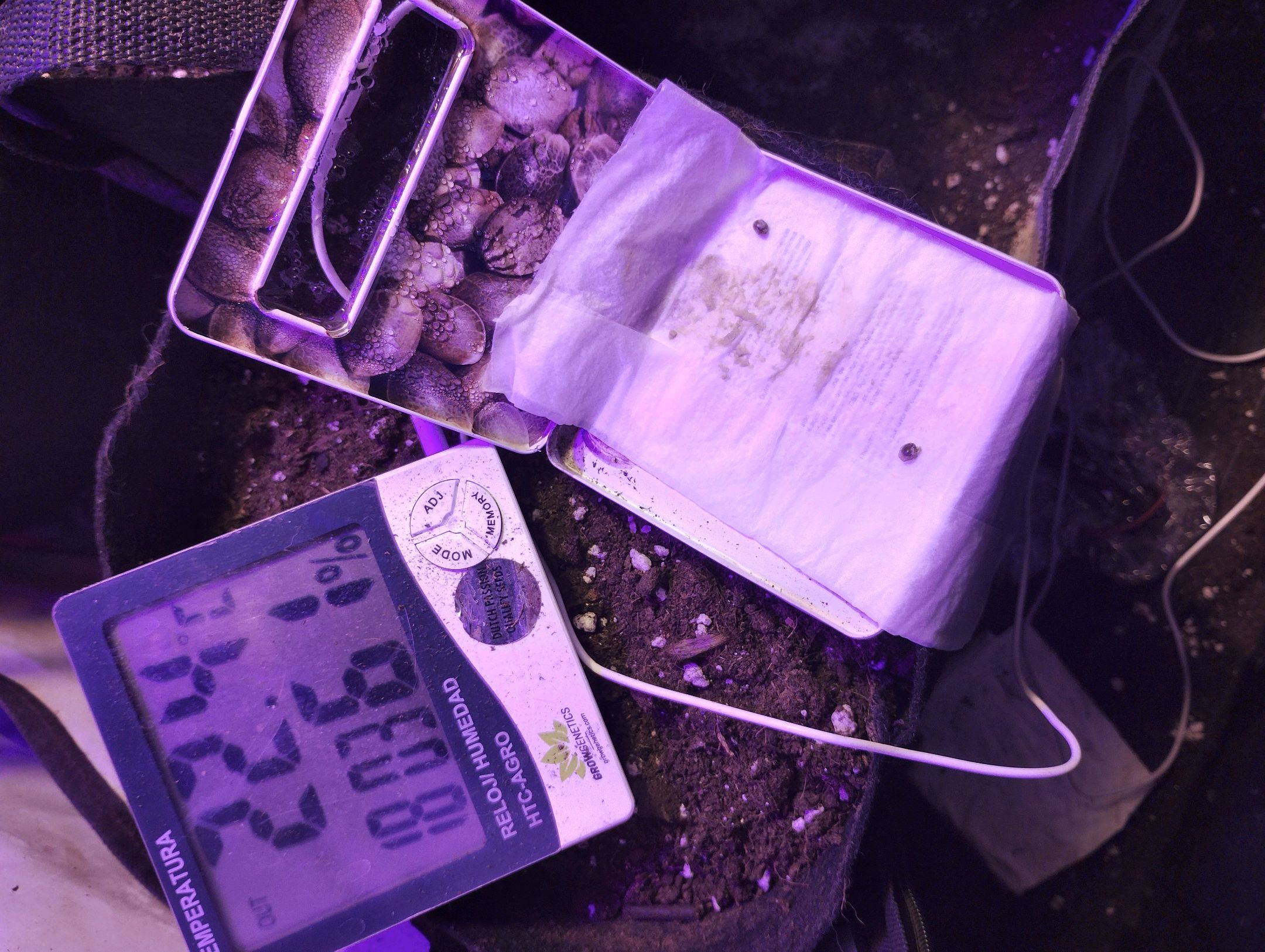 cripi growlog header