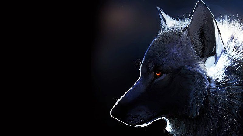 Avatar von Finsterwolf