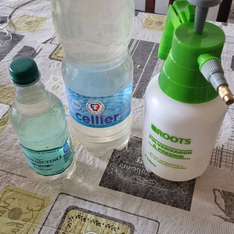 Ginny growlog photo: Llovio los últimos dos días así que puse baldes y palanganas en el patio y logré juntar casi 3 litros de agua, 500 en la botellita, la botella de 2l y 400ml en el regador 