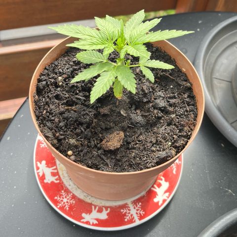 Hyperion F1 growlog timeline photo