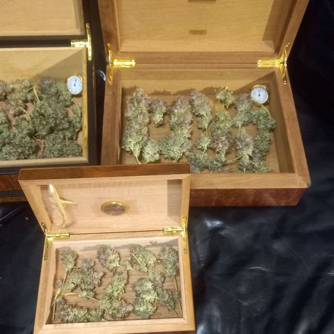 Liberated Orange growlog timeline photo