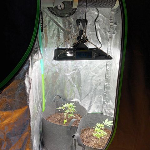 Blue Dream - Gen 1 growlog photo: Finished installing new AC infinity ion beam s22
