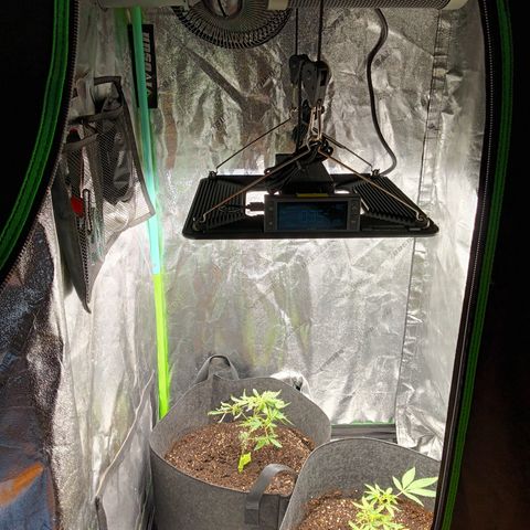 Blue Dream - Gen 1 growlog photo: Finished installing new AC infinity ion beam s22