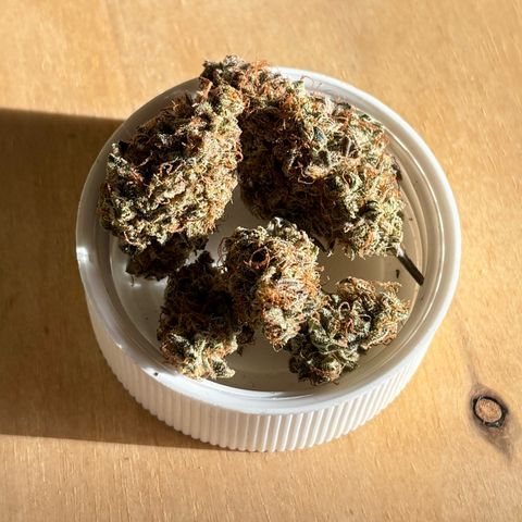 Uschi growlog timeline photo