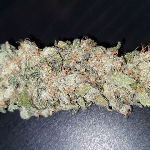 Banana Kush growlog timeline photo