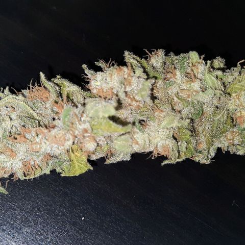Banana Kush growlog timeline photo